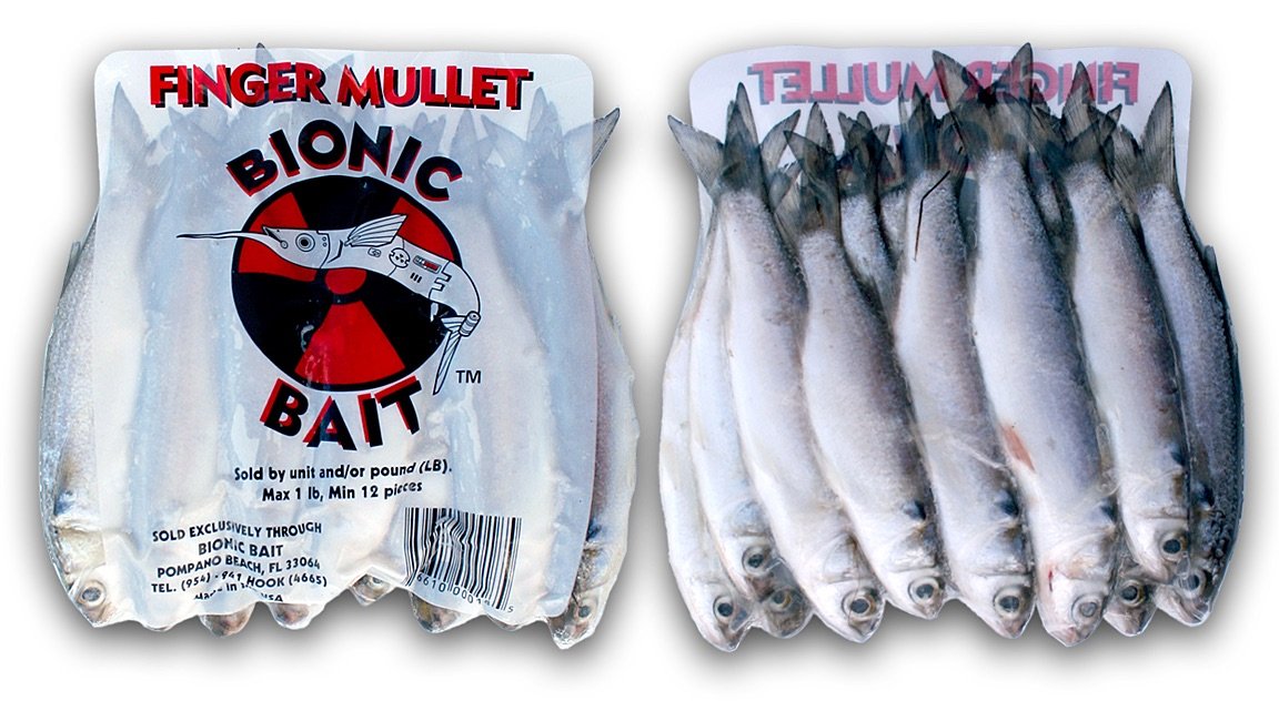 Finger Mullet - Salt H2O Custom Tackle Fort Lauderdale Florida